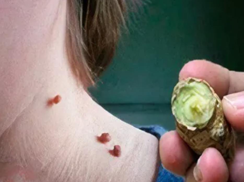 Procedura professionale